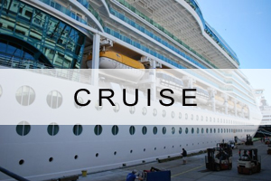 Link to Cruise Search