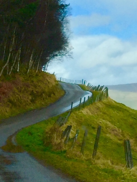 Slideshow Image